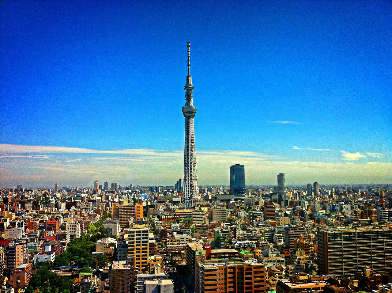 地方在住者が都会のバーチャルオフィスを活用する際の注意点